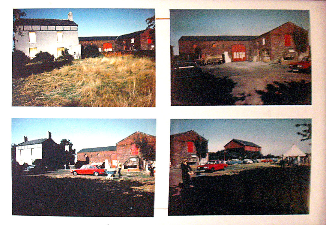 Cinnamon Brow mywarrington