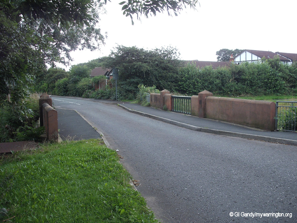 Cinnamon Brow mywarrington